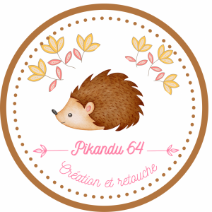 Logo de Pikandu64